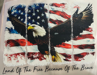LAND OF THE FREE. 12”