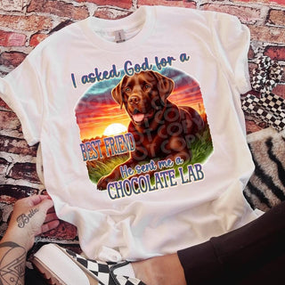 CHOCOLATE LAB (DTF)