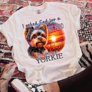 YORKIE (DTF)