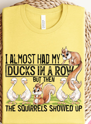 I ALMOST HAD MY DUCKS IN A ROW