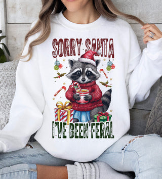 SORRY SANTA