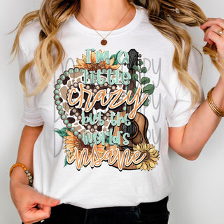 I’M A LITTLE CRAZY