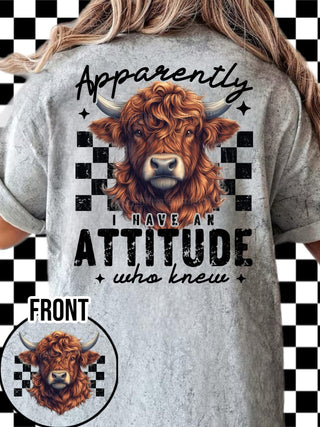APPARENTLY I HAVE AN ATTITUDE