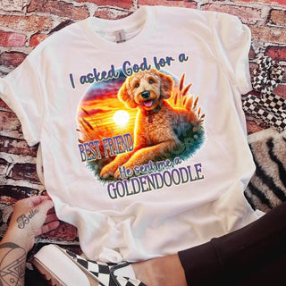 GOLDENDOODLE  (DTF)