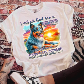 AUSTRALIAN SHEPARD  (DTF)