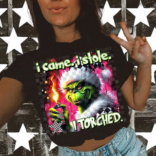 I CAME I STOLE I TORCHED